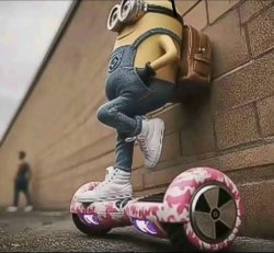 Minion Meme Template