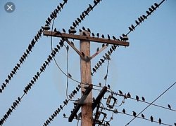 Chrisjoines1 Meme Template