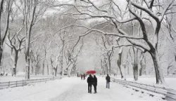 Snow Scene Meme Template