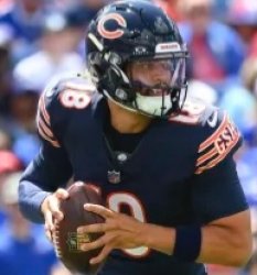 C. Willams Meme Template