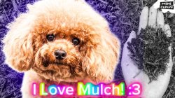 mulch pilled Meme Template