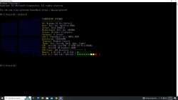 bandit's winfetch Meme Template