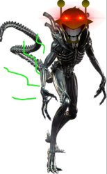 Simon has diarrhea Meme Template