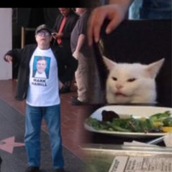 Mark Hamill and Smudge Meme Template