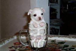 Chrisjoines1 Meme Template