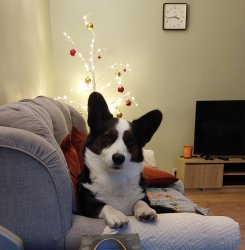 Christmas Meme Template