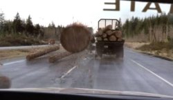 Final Destination Log Closeup Meme Template