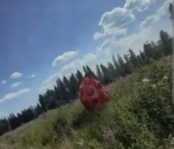 SCP-9954-J Meme Template