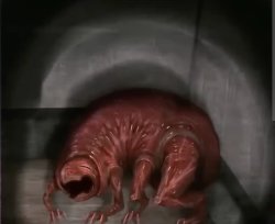 SCP-1480-IK Meme Template