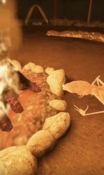 Marcus doesn't like this rock Meme Template