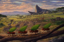 Circle of Life Meme Template