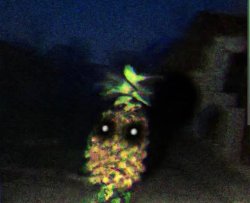 SCP-6514-J Meme Template