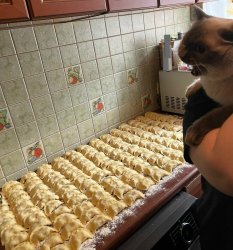 cat and dumplings Meme Template