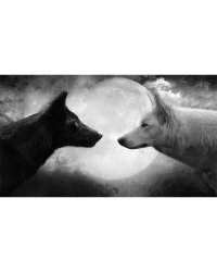 two wolves inside Meme Template