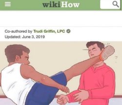 Wikihow - How to deal with problems Meme Template