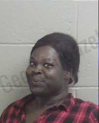 Confident Mugshot Lady Meme Template