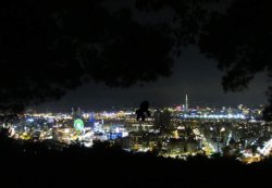 SCP-922-J Meme Template