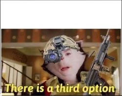 third option Meme Template