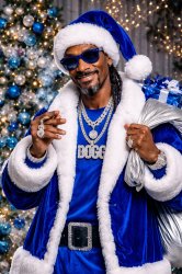 Snoop Doggy Clause. Meme Template