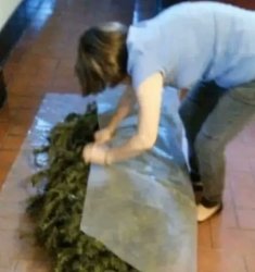 Chrisjoines1 Meme Template