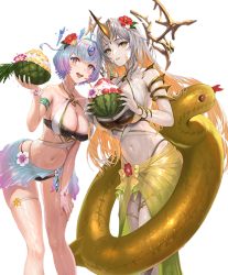 Gullveig summer duo with Seidr, Fire Emblem Heroes Meme Template