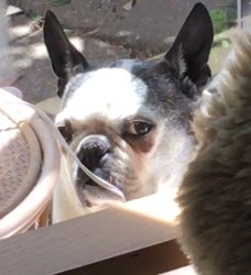 When ur friend casually farts in public Meme Template