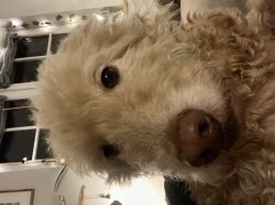 En serio Meme Template