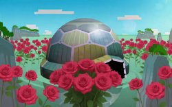 Roses Blooming in Hidden Kingdom Meme Template