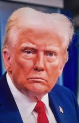 Trump crazy nuts psycho weird senile malignant narcissist Meme Template