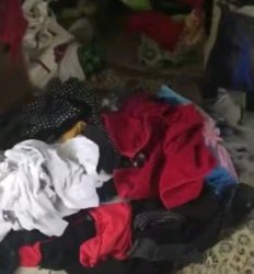 SCP-799-J Meme Template