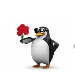 Pengu Rizz Meme Template