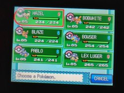 Soulsliver team Meme Template