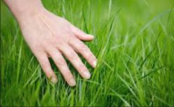 Go get a x and touch some y Meme Template