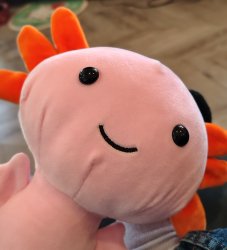 Axolotl approver Meme Template