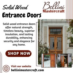 solid wood entrance doors Meme Template