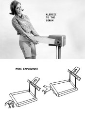 You should have asked a boomer! Meme Template