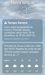 NY Weather Meme Template