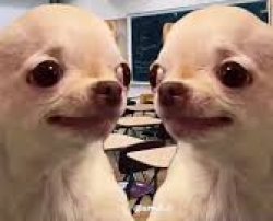 evil dog same Meme Template