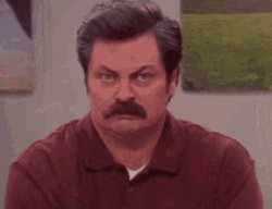 Ron Swanson Judging 01 Meme Template