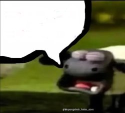 sheep, Meme Template