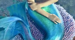 realistic tail Meme Template