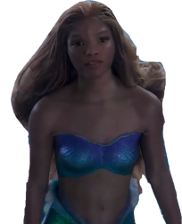 Halle Mermaid Meme Template