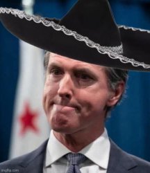 Gavin Newsom having a bad day Meme Template