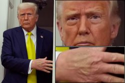 Skin of a killer fr Trump Meme Template