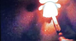 HERE’S MY BOOMSTICK! Meme Template