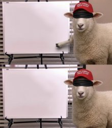 BLIND EXPLAIN Meme Template