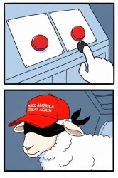 TWO BUTTONS Meme Template