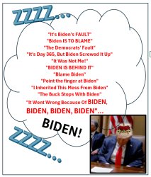 Biden's Fault Meme Template