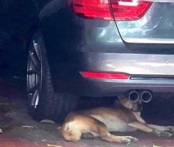 Chrisjoines1 Meme Template