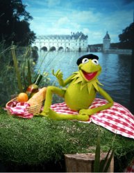 Vacation Kermit Meme Template